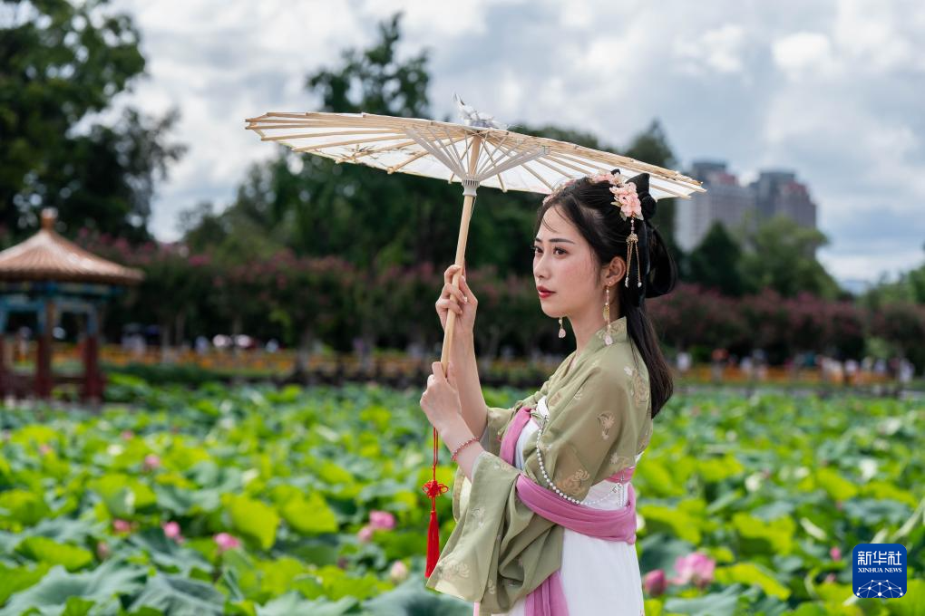 昆明：荷花盛开引客来