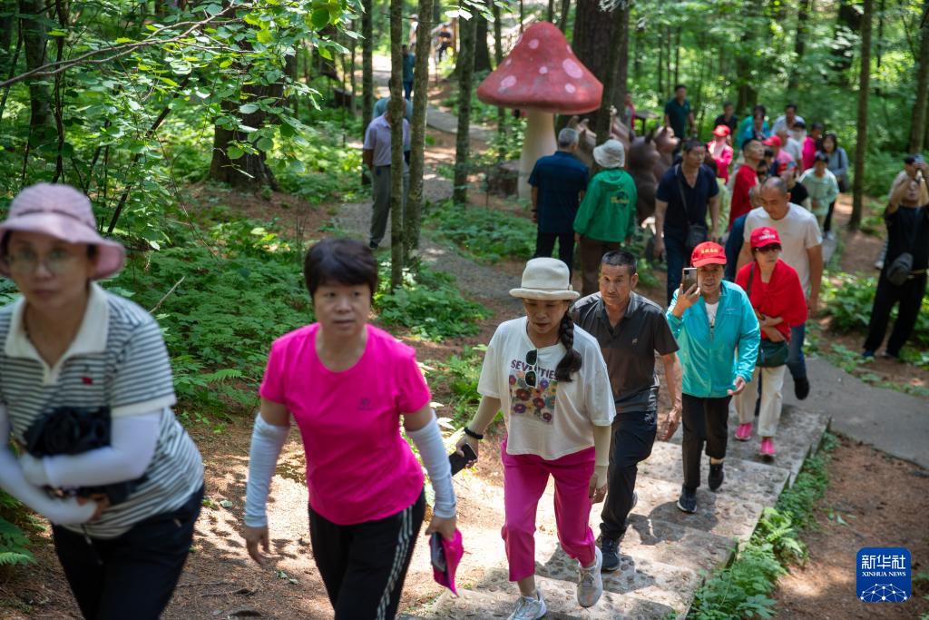 以林兴旅 “中国林都”迎来夏季旅游高峰