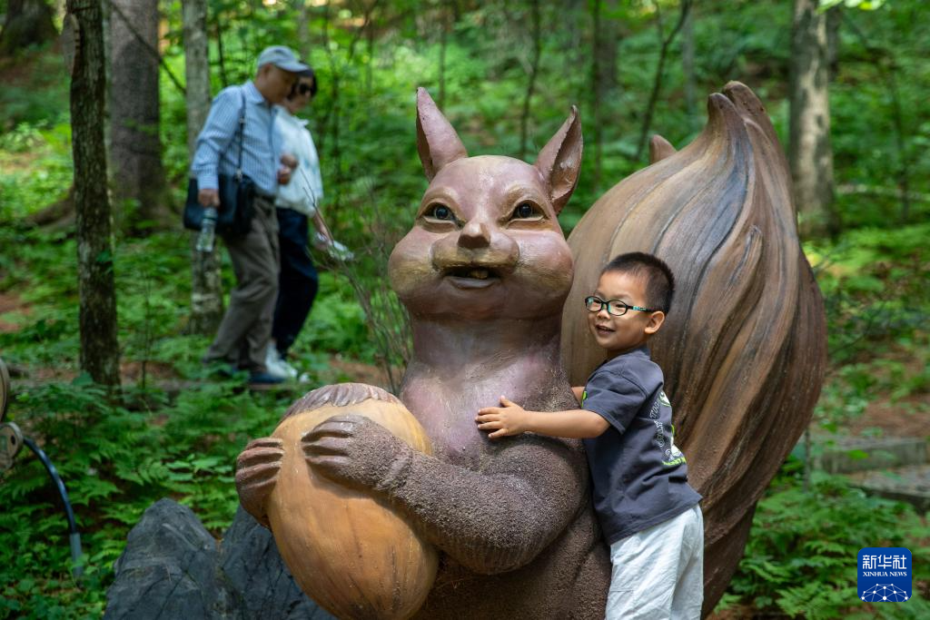 以林兴旅 “中国林都”迎来夏季旅游高峰