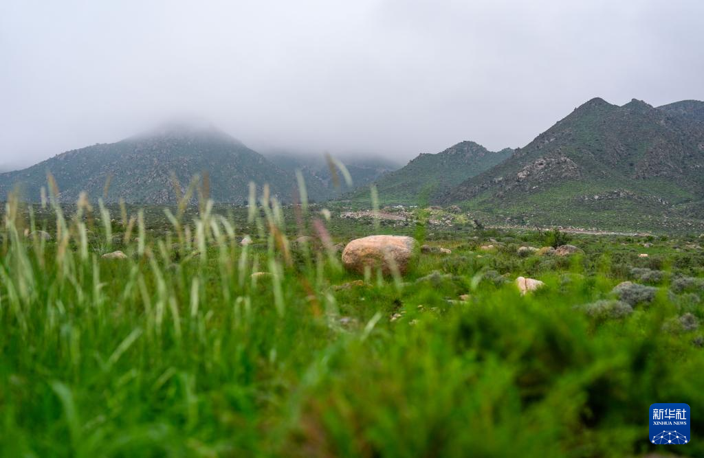 秋雨润绿贺兰山