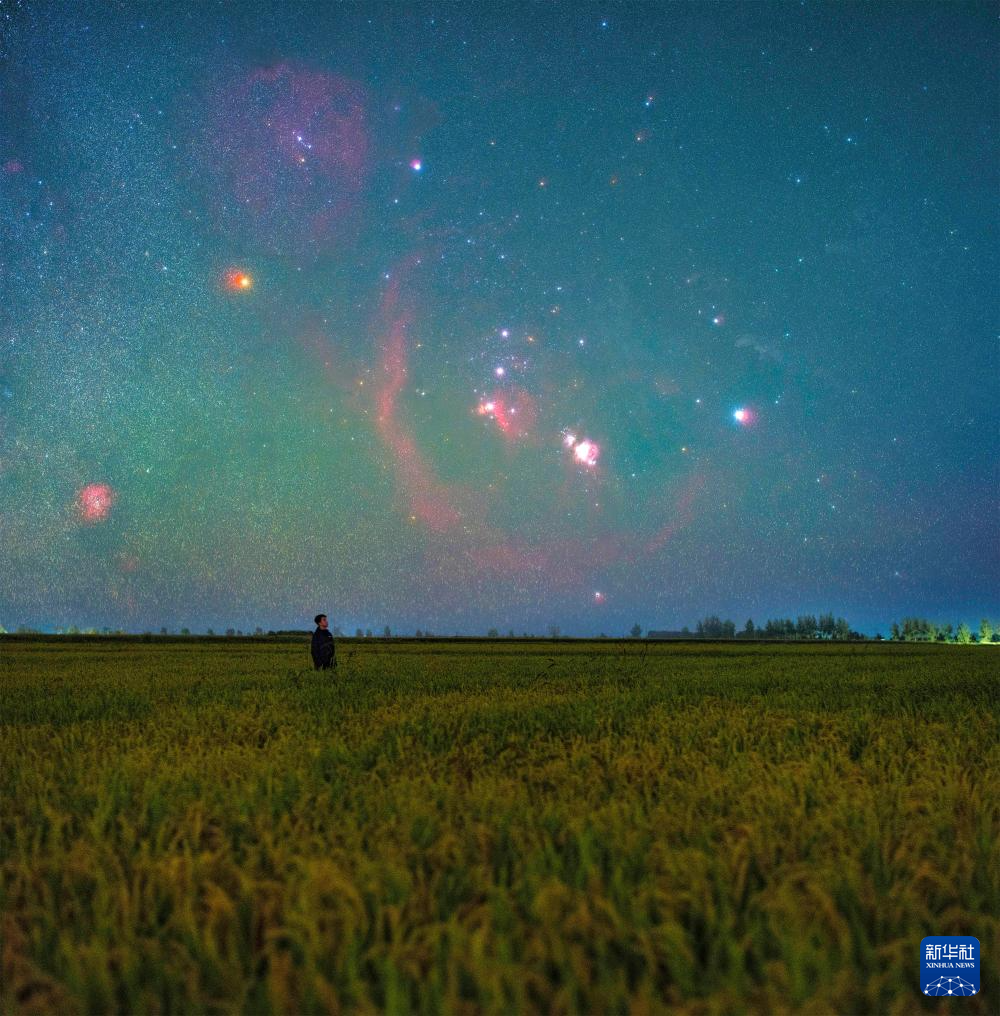 丰收田野“约会”浪漫星空