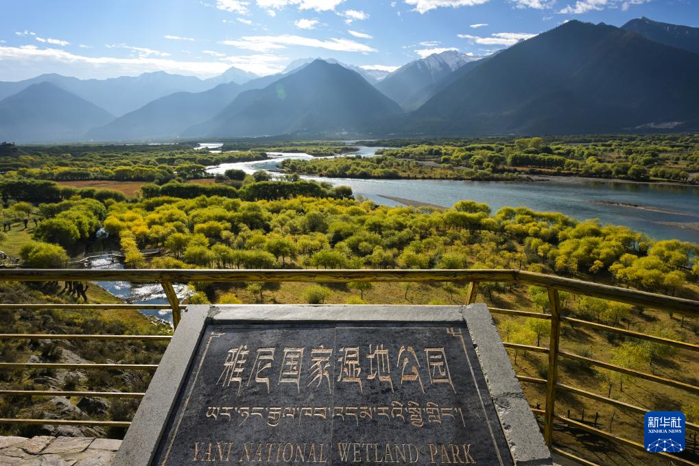 西藏林芝：加强生态保护 维护湿地健康