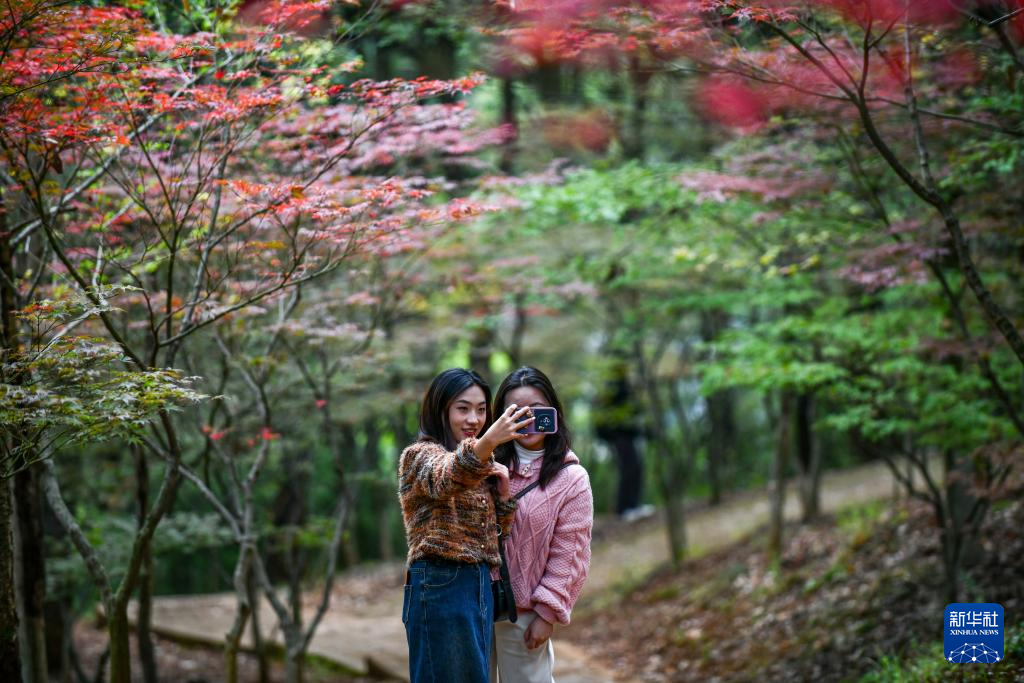 神州大地秋意浓