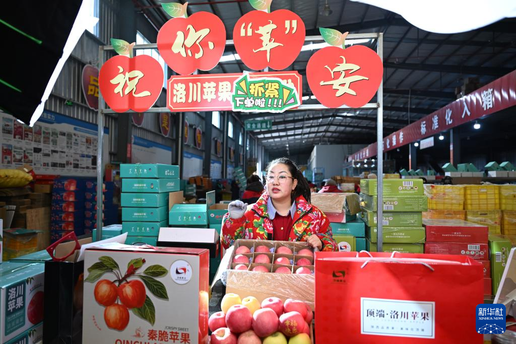 黄土高原苹果之乡迎来销售旺季