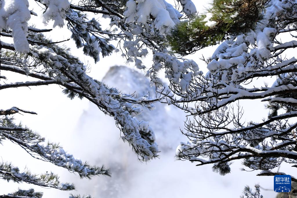 雪后黄山景美如画