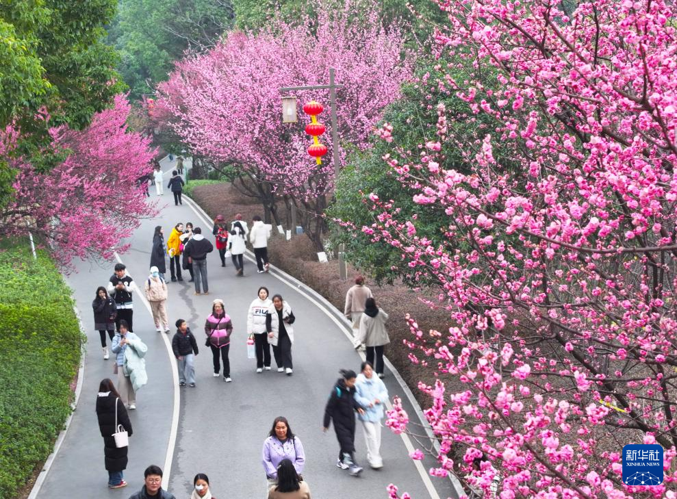 诗意中国丨莺鸣一两啭，花树数重开