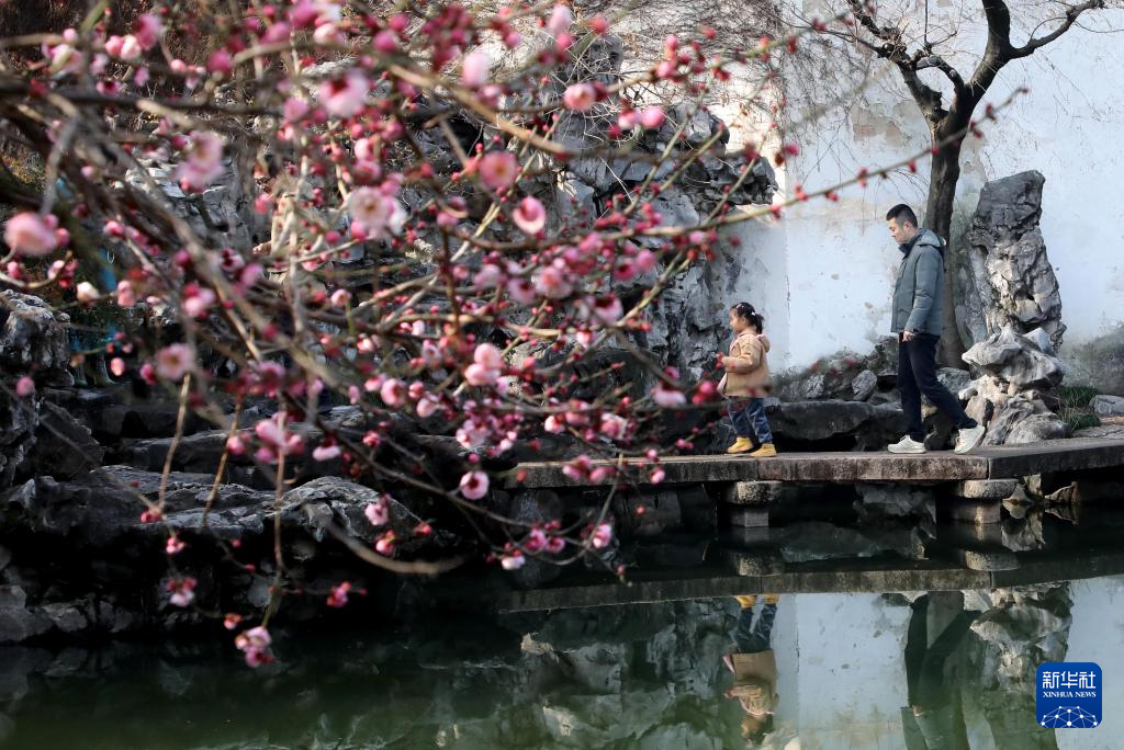 诗意中国丨莺鸣一两啭，花树数重开