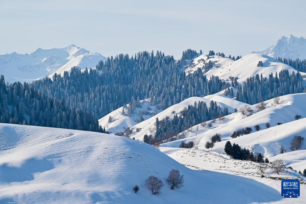 美丽中国丨那拉提雪景