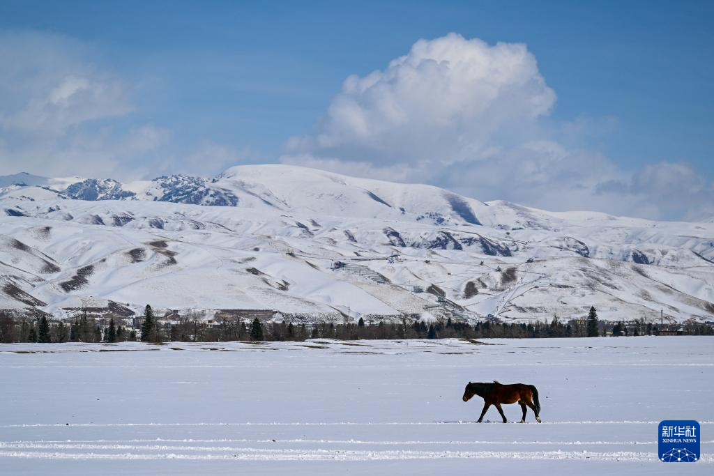 美丽中国丨那拉提雪景