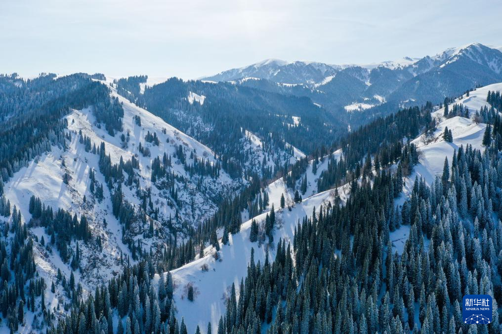 美丽中国丨那拉提雪景