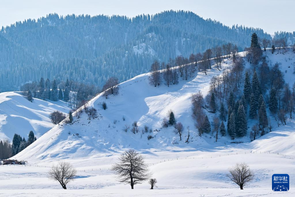 美丽中国丨那拉提雪景