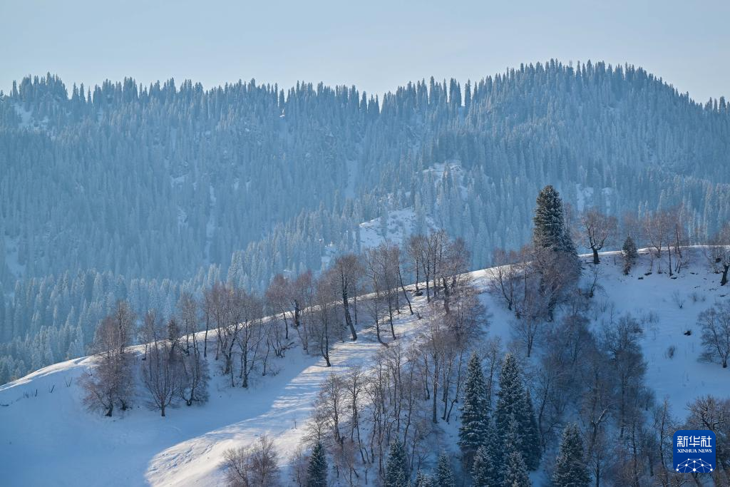 美丽中国丨那拉提雪景