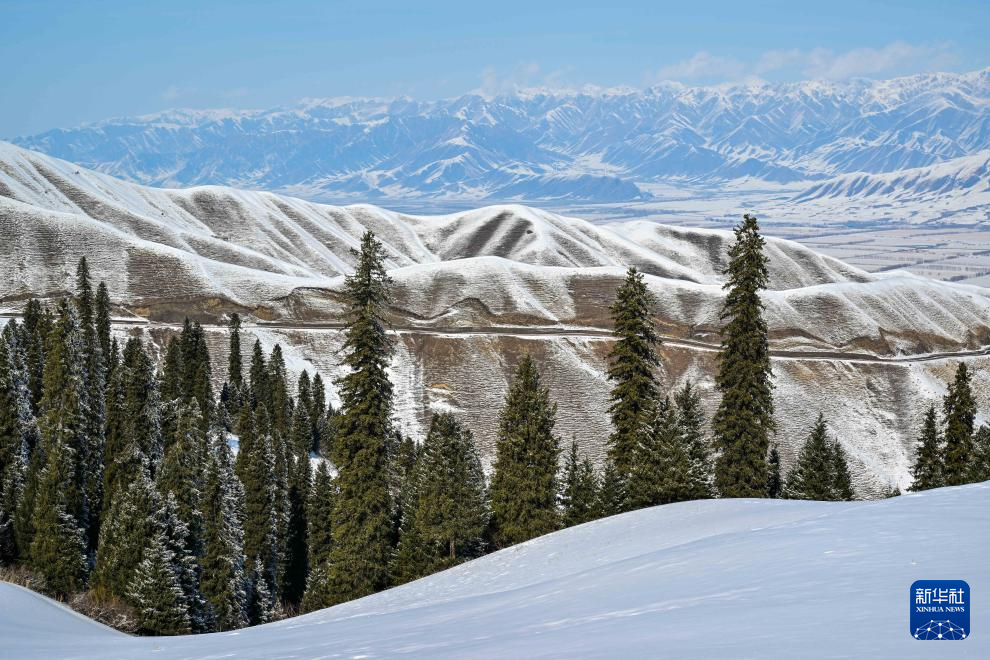 美丽中国丨那拉提雪景