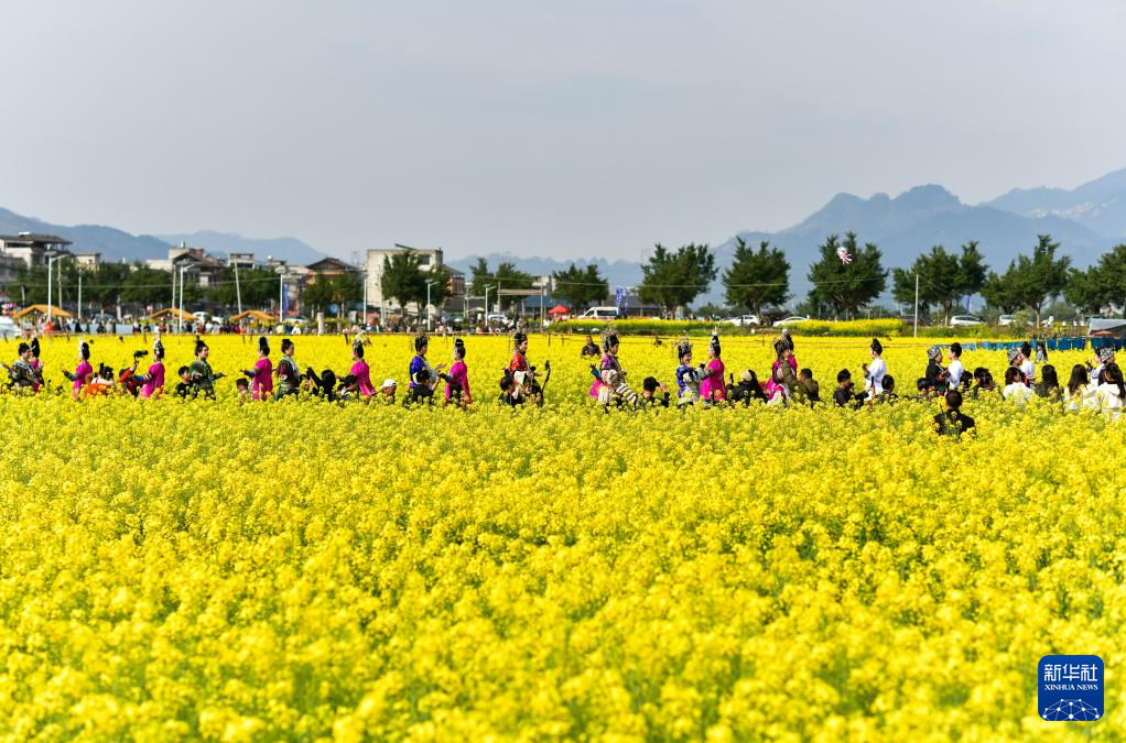 贵州榕江：花田间 秀盛装