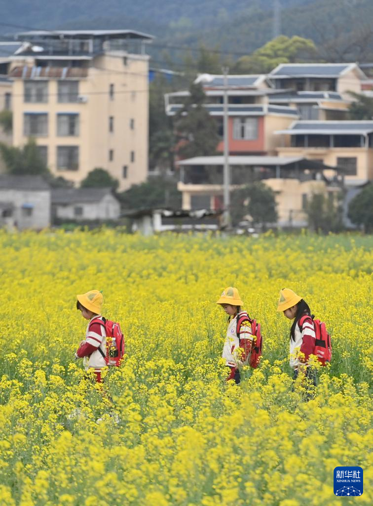 可爱的乡村——春和景明人亦勤