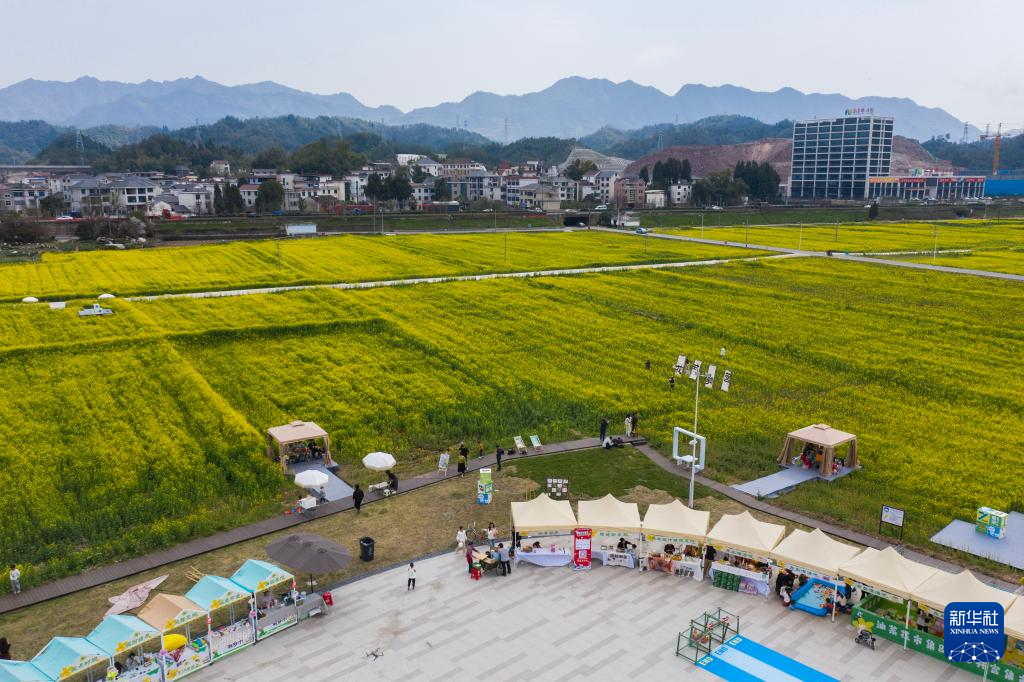 浙江建德：“以花为媒” 打造春日消费新场景