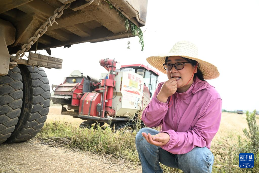江苏盱眙：种粮大户喜获丰收
