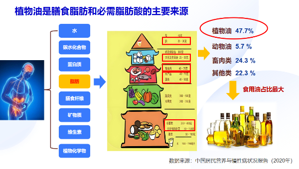 “少吃油，吃好油”： 亚麻籽油成健康饮食的新选择