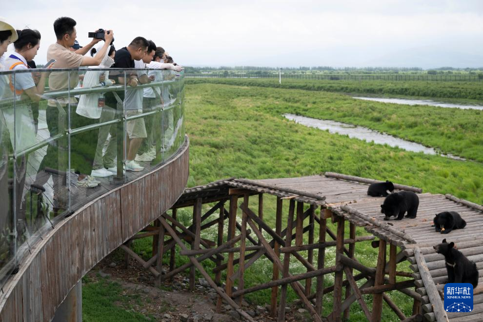 中国东极夏日旅游升温