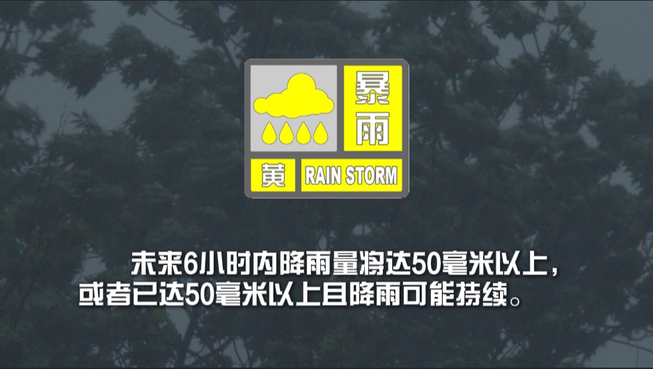暴雨“颜色”大不同 预警标识得分清！