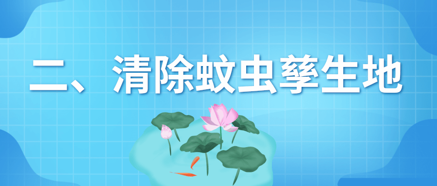 速看！预防基孔肯雅热和登革热，从夏季防蚊开始 | 科普时间