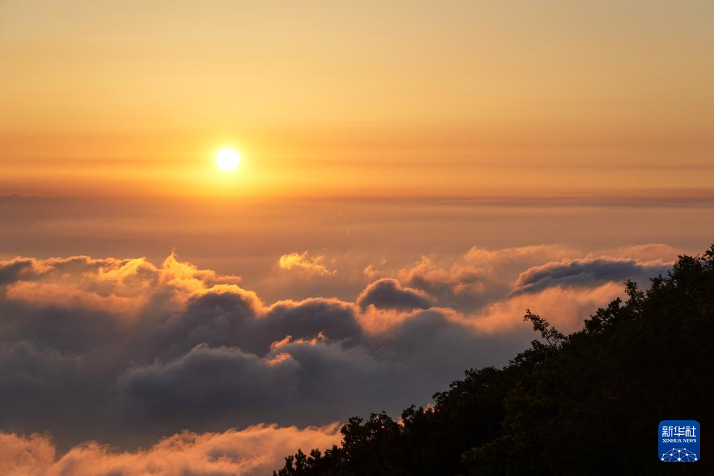 山东泰安：暑期泰山游客旺