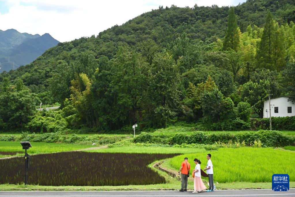 活力中国调研行｜安吉余村：从采矿村到“世界最佳旅游乡村”的绿色蝶变