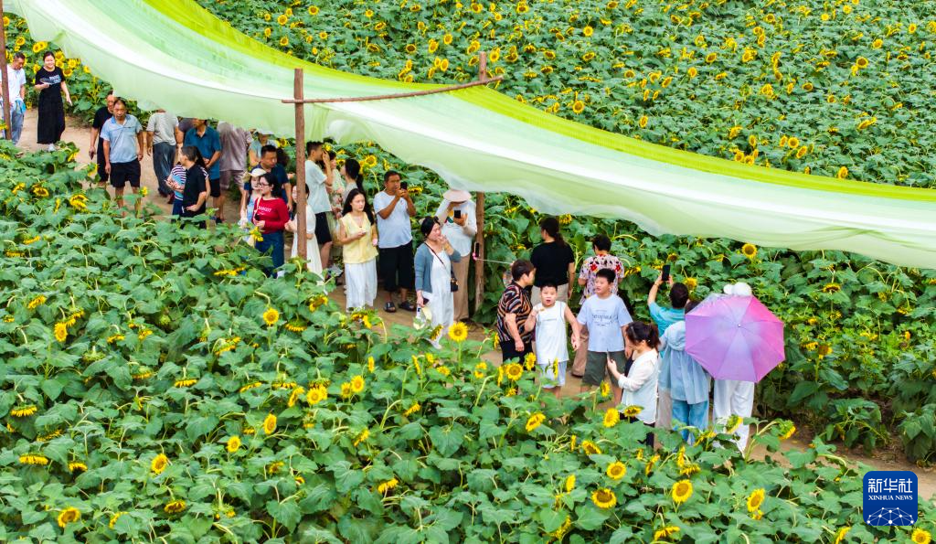 暑期出游正当时
