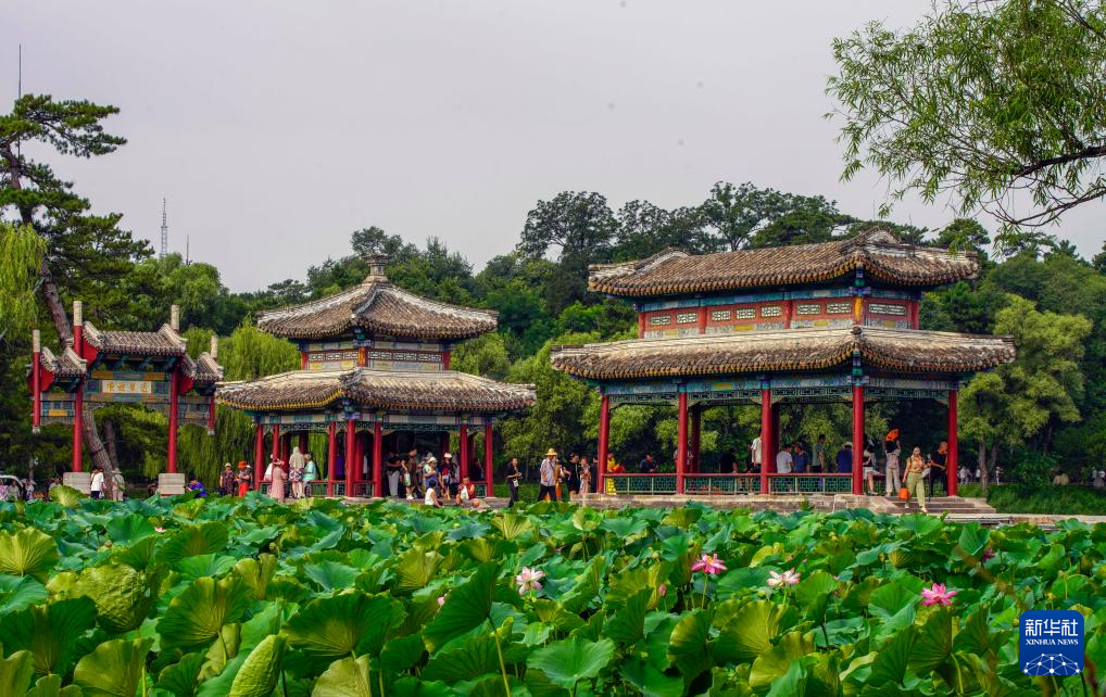 暑期出游正当时