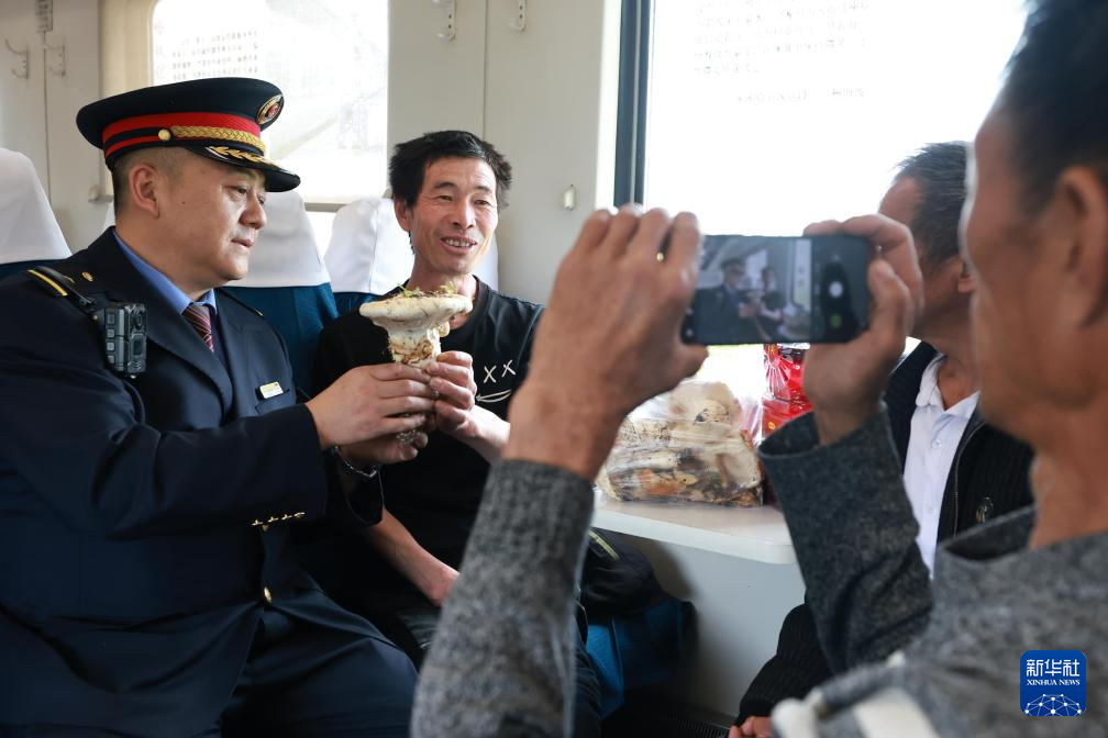 “采山人”奔赴兴安岭 “慢火车”载来增收梦