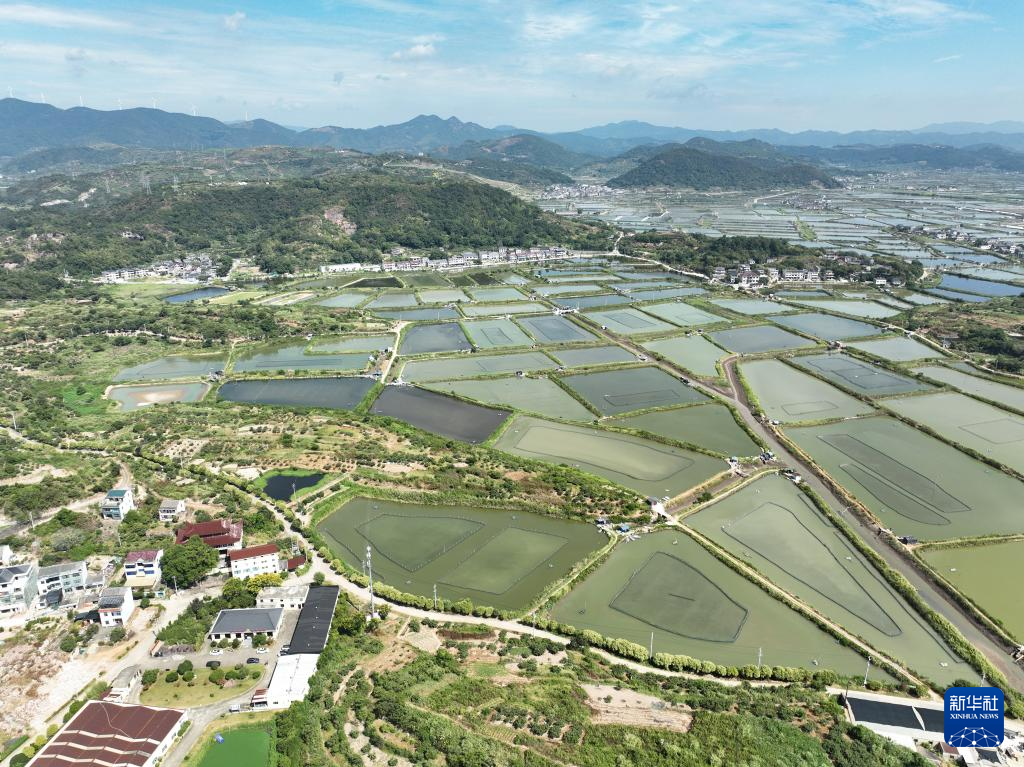浙江：三门湾青蟹迎丰收