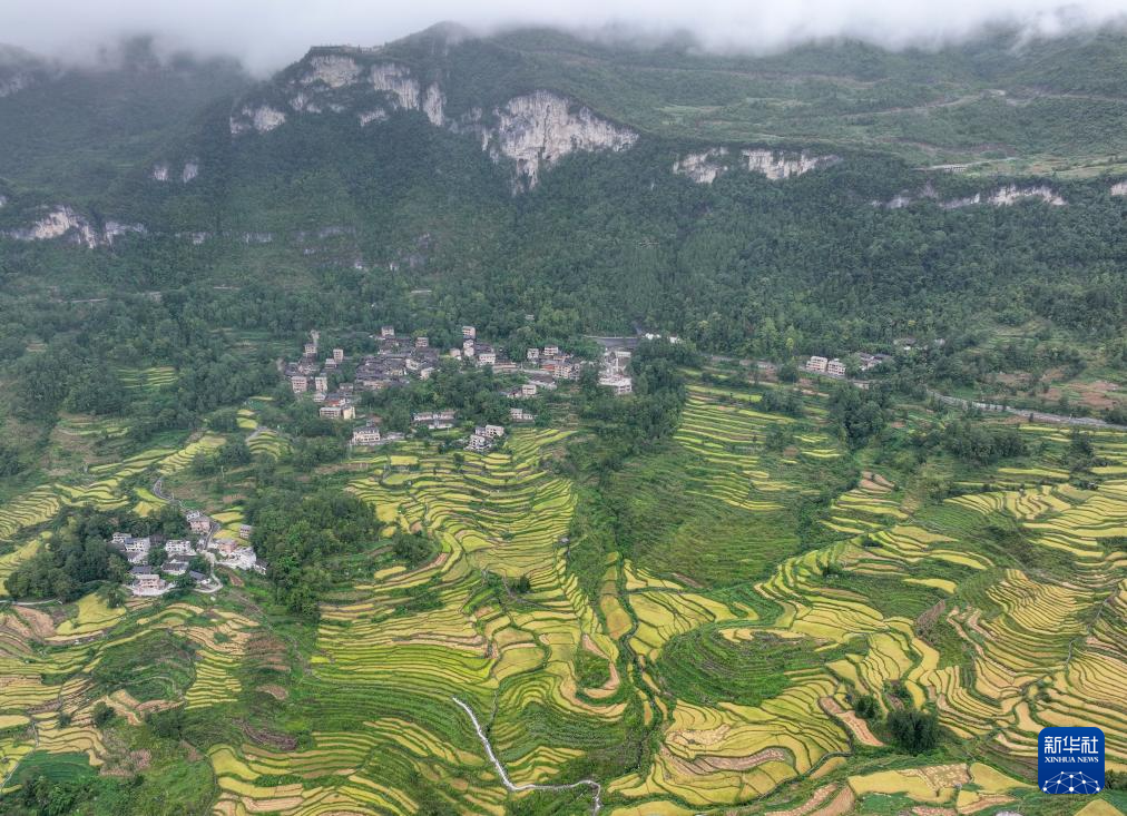 金秋好“丰”景