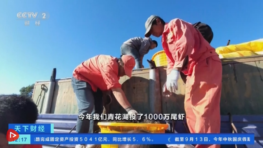 “百姓餐桌”物丰、量足、价稳 节前消费市场供销两旺