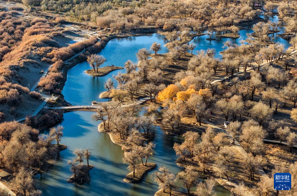 美丽中国丨额济纳:晚秋胡杨美