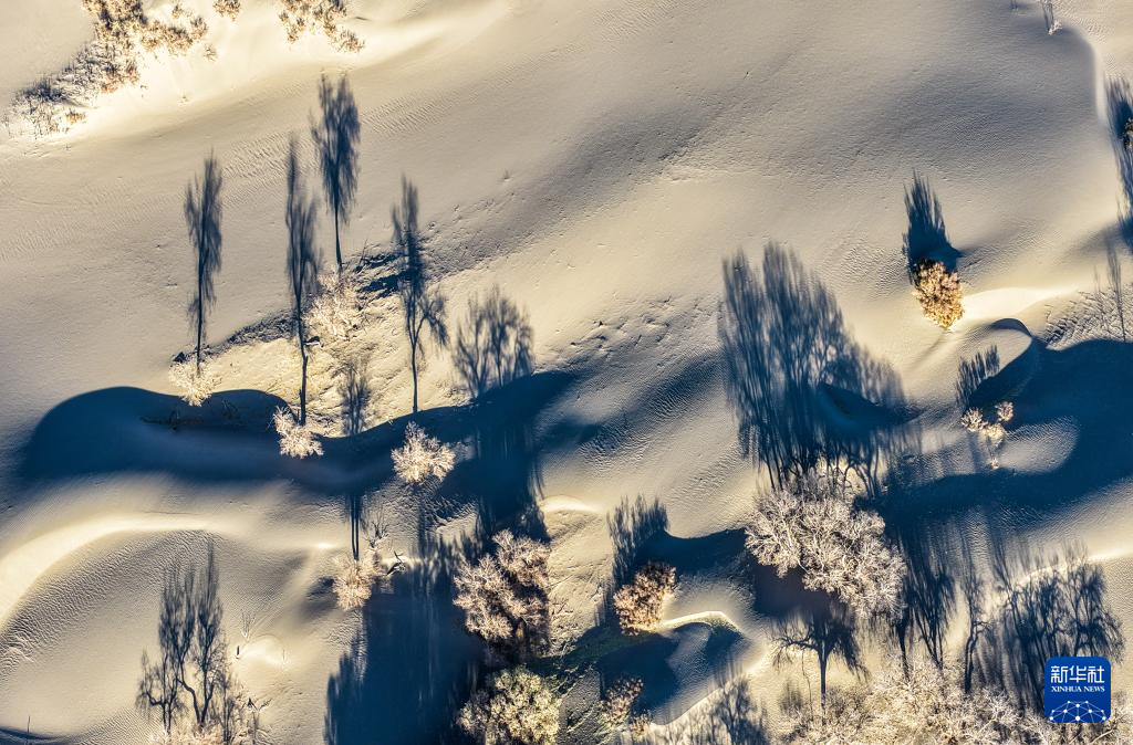 美丽中国丨额济纳:晚秋胡杨美