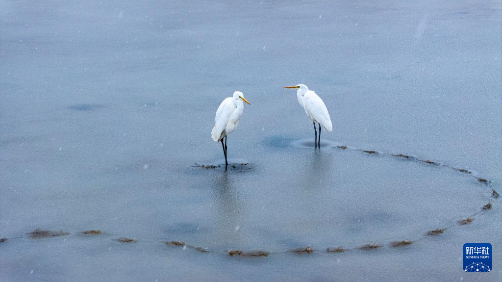 新疆多地迎来降雪