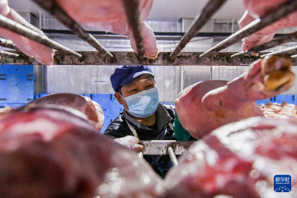 浙江金华:火腿腌制进入忙碌季节