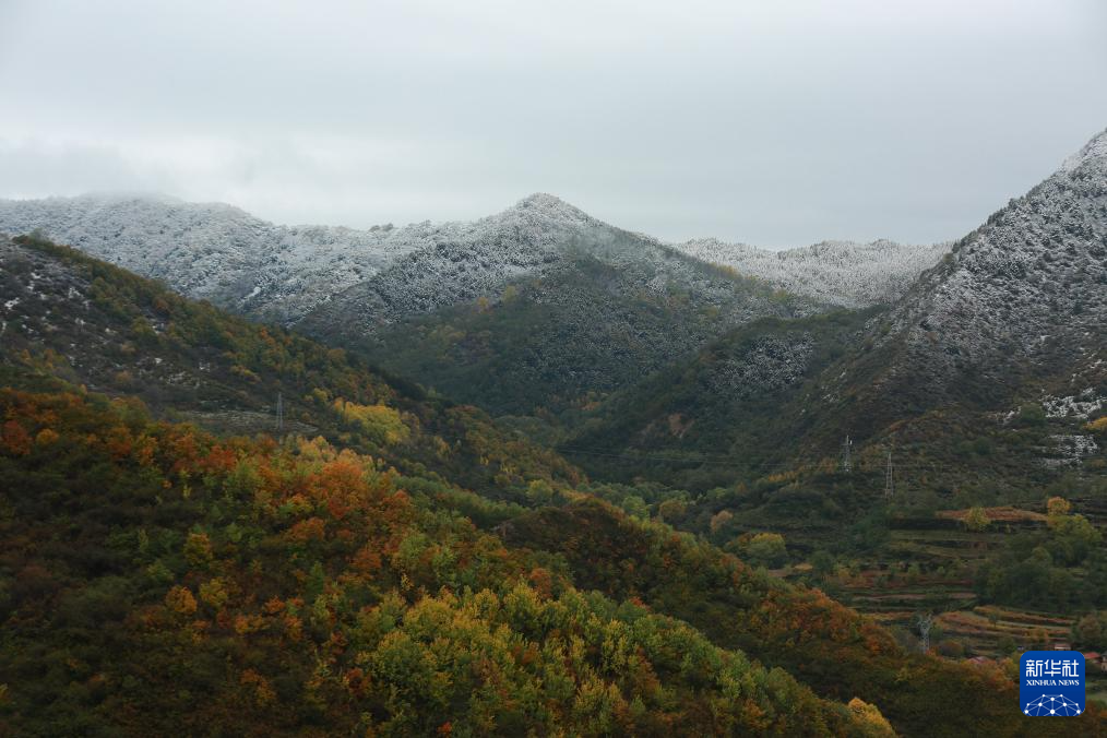 中国之城｜甘肃平凉：千沟万壑间滋养出一座高原绿岛
