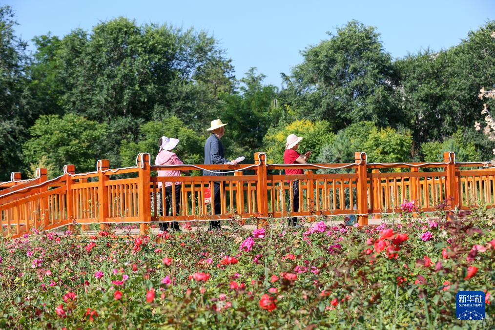 中国之城｜甘肃平凉：千沟万壑间滋养出一座高原绿岛