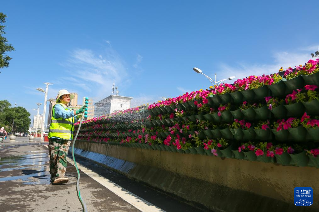 中国之城｜甘肃平凉：千沟万壑间滋养出一座高原绿岛