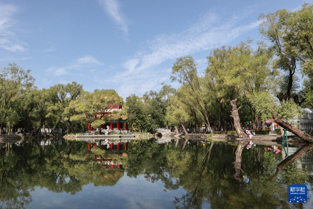 中国之城｜甘肃平凉：千沟万壑间滋养出一座高原绿岛