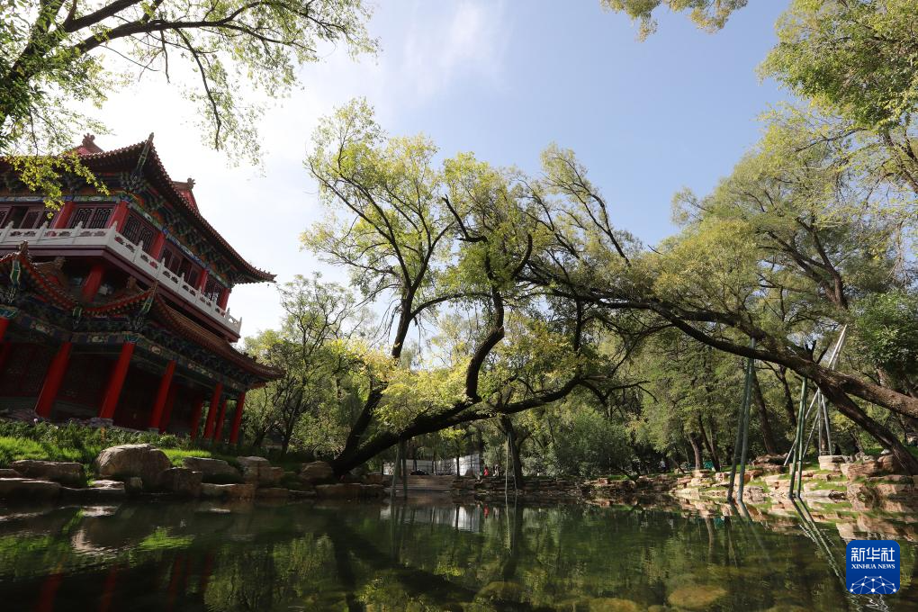 中国之城｜甘肃平凉：千沟万壑间滋养出一座高原绿岛