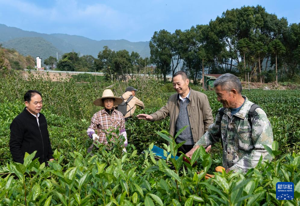 赤溪村的乡村振兴新气象