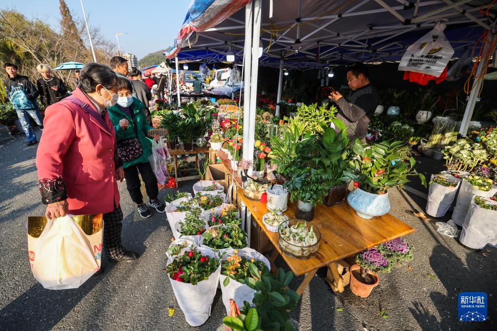 浙江建德:迎新年乡村赶大集