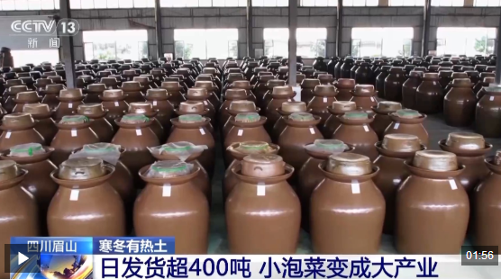 视频丨小泡菜变成大产业 每天400多吨“下饭菜”从这里发往全国