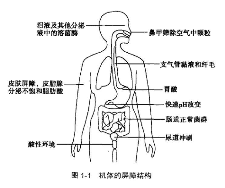 免疫力是最好的“医生”!9种方法轻松提升,其余统统不靠谱