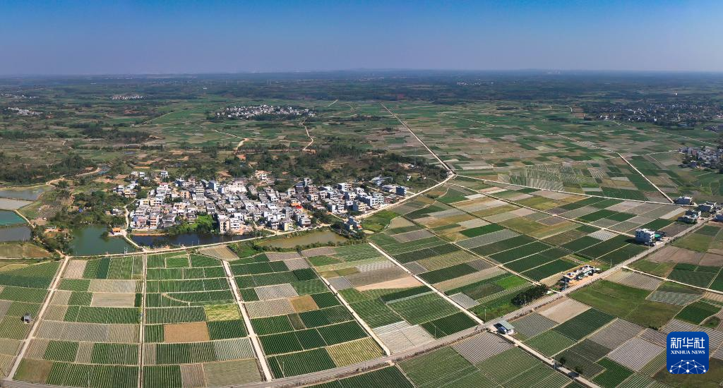 海南冬季瓜菜陆续上市