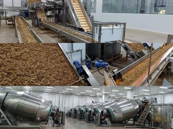 深化药械改革 各地在行动丨“云药”何以持久飘香——云南中医药产业高质量发展观察