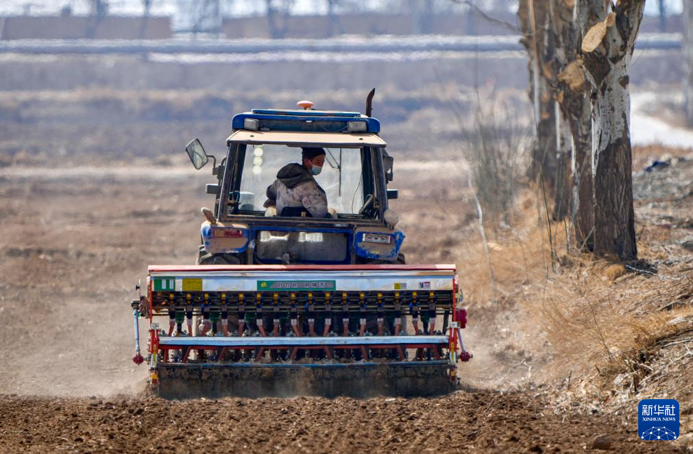 宁夏贺兰:人勤春来早 小麦播种忙
