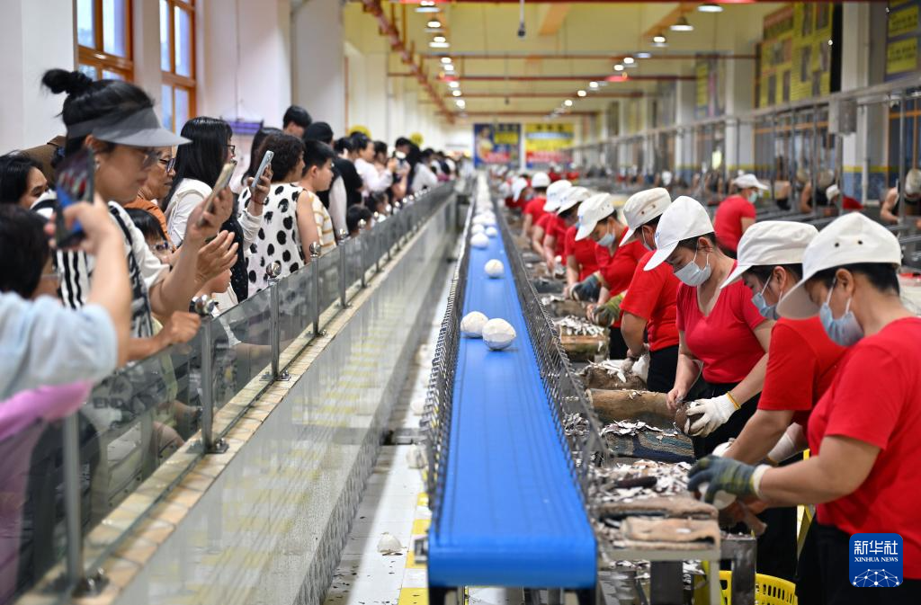 海口:工业游火爆